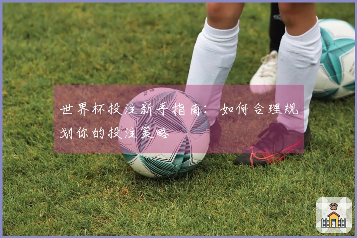 世界杯投注新手指南：如何合理规划你的投注策略