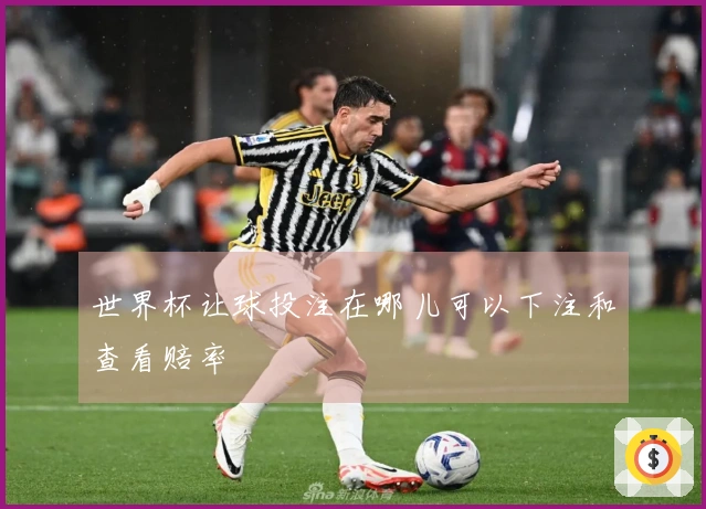 世界杯让球投注在哪儿可以下注和查看赔率