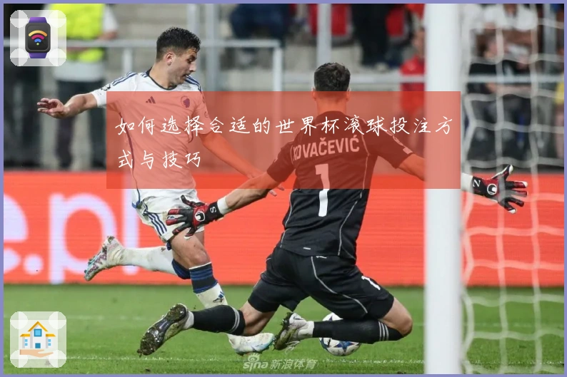 如何选择合适的世界杯滚球投注方式与技巧